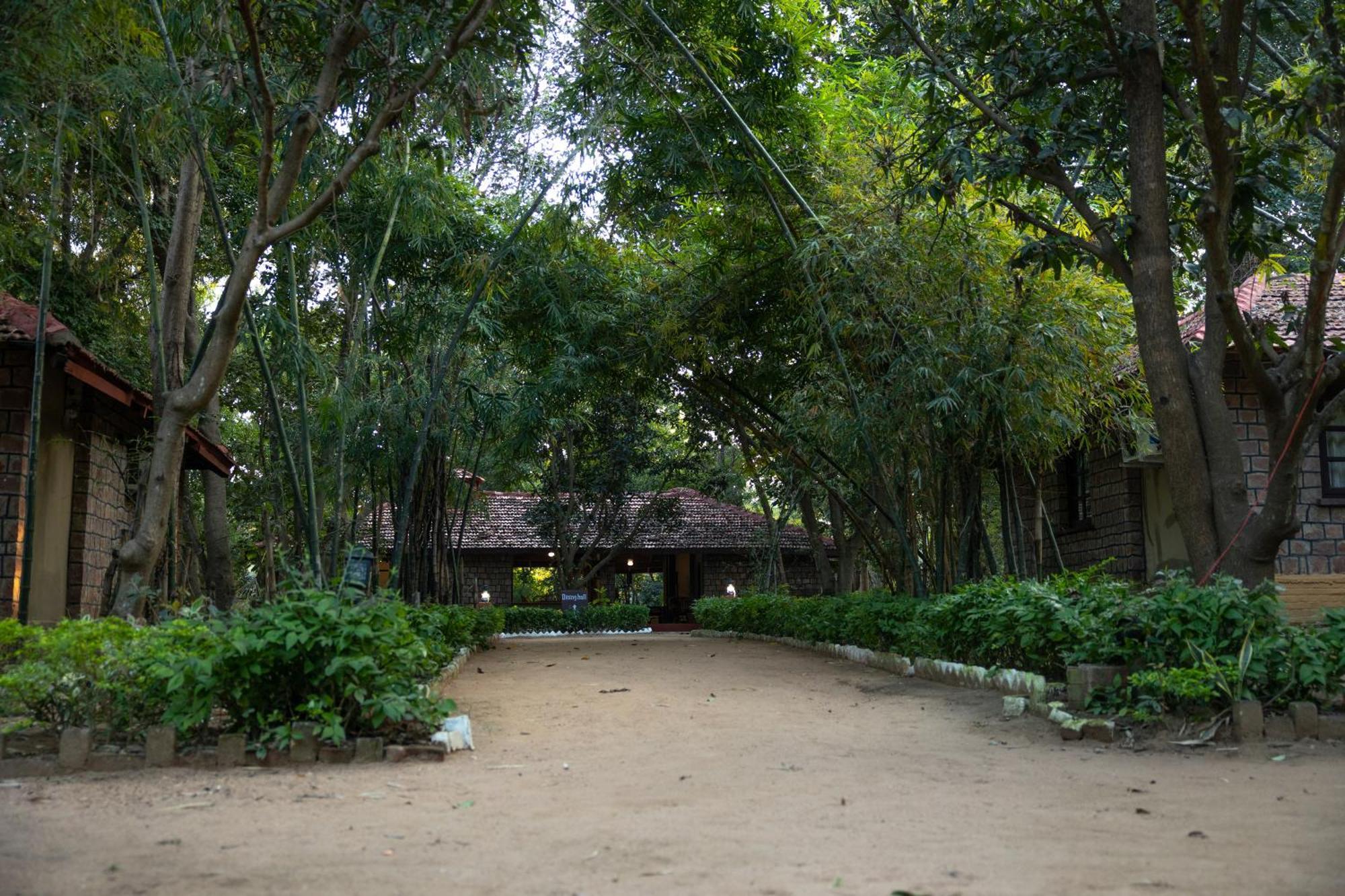 タイガー トレイルス リゾート Tāla エクステリア 写真